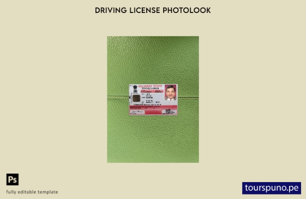 listo para imprimir plantilla frontal de aspecto fotográfico del permiso de c 24